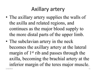 Axillary artery
• The axillary artery supplies the walls of
the axilla and related regions, and
continues as the major blood supply to
the more distal parts of the upper limb.
• The subclavian artery in the neck
becomes the axillary artery at the lateral
margin of 1st rib and passes through the
axilla, becoming the brachial artery at the
inferior margin of the teres major muscle.
2/10/2014

15

 