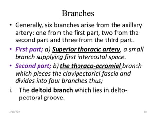 Branches
• Generally, six branches arise from the axillary
artery: one from the first part, two from the
second part and three from the third part.
• First part; a) Superior thoracic artery, a small
branch supplying first intercostal space.
• Second part; b) the thoraco-acromial branch
which pieces the clavipectorial fascia and
divides into four branches thus;
i. The deltoid branch which lies in deltopectoral groove.
2/10/2014

18

 