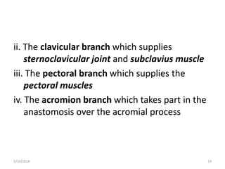 ii. The clavicular branch which supplies
sternoclavicular joint and subclavius muscle
iii. The pectoral branch which supplies the
pectoral muscles
iv. The acromion branch which takes part in the
anastomosis over the acromial process

2/10/2014

19

 
