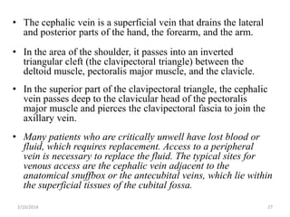 • The cephalic vein is a superficial vein that drains the lateral
and posterior parts of the hand, the forearm, and the arm.
• In the area of the shoulder, it passes into an inverted
triangular cleft (the clavipectoral triangle) between the
deltoid muscle, pectoralis major muscle, and the clavicle.
• In the superior part of the clavipectoral triangle, the cephalic
vein passes deep to the clavicular head of the pectoralis
major muscle and pierces the clavipectoral fascia to join the
axillary vein.
• Many patients who are critically unwell have lost blood or
fluid, which requires replacement. Access to a peripheral
vein is necessary to replace the fluid. The typical sites for
venous access are the cephalic vein adjacent to the
anatomical snuffbox or the antecubital veins, which lie within
the superficial tissues of the cubital fossa.
2/10/2014

27

 