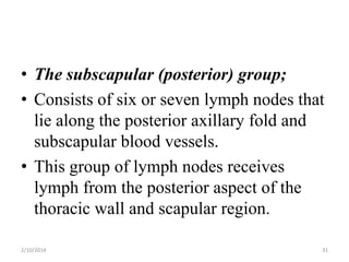 • The subscapular (posterior) group;
• Consists of six or seven lymph nodes that
lie along the posterior axillary fold and
subscapular blood vessels.
• This group of lymph nodes receives
lymph from the posterior aspect of the
thoracic wall and scapular region.
2/10/2014

31

 