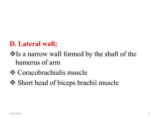 D. Lateral wall;
Is a narrow wall formed by the shaft of the
humerus of arm
 Coracobrachialis muscle
 Short head of biceps brachii muscle

2/10/2014

8

 