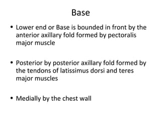 Base
• Lower end or Base is bounded in front by the
anterior axillary fold formed by pectoralis
major muscle
• Posterior by posterior axillary fold formed by
the tendons of latissimus dorsi and teres
major muscles
• Medially by the chest wall
 