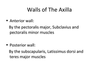 Walls of The Axilla
• Anterior wall:
By the pectoralis major, Subclavius and
pectoralis minor muscles
• Posterior wall:
By the subscapularis, Latissimus dorsi and
teres major muscles
 