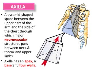 AXILLA
• A pyramid-shaped
space between the
upper part of the
arm and the side of
the chest through
which major
neurovascularneurovascular
structures pass
between neck &
thorax and upper
limbs.
• Axilla has an apex, a
base and four walls.
 