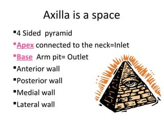 Axilla is a space
4 Sided pyramid
Apex connected to the neck=Inlet
Base Arm pit= Outlet
Anterior wall
Posterior wall
Medial wall
Lateral wall
 