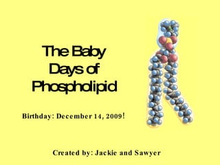 The Baby Days of Phospholipid Birthday: December 14, 2009! Created by: Jackie and Sawyer   