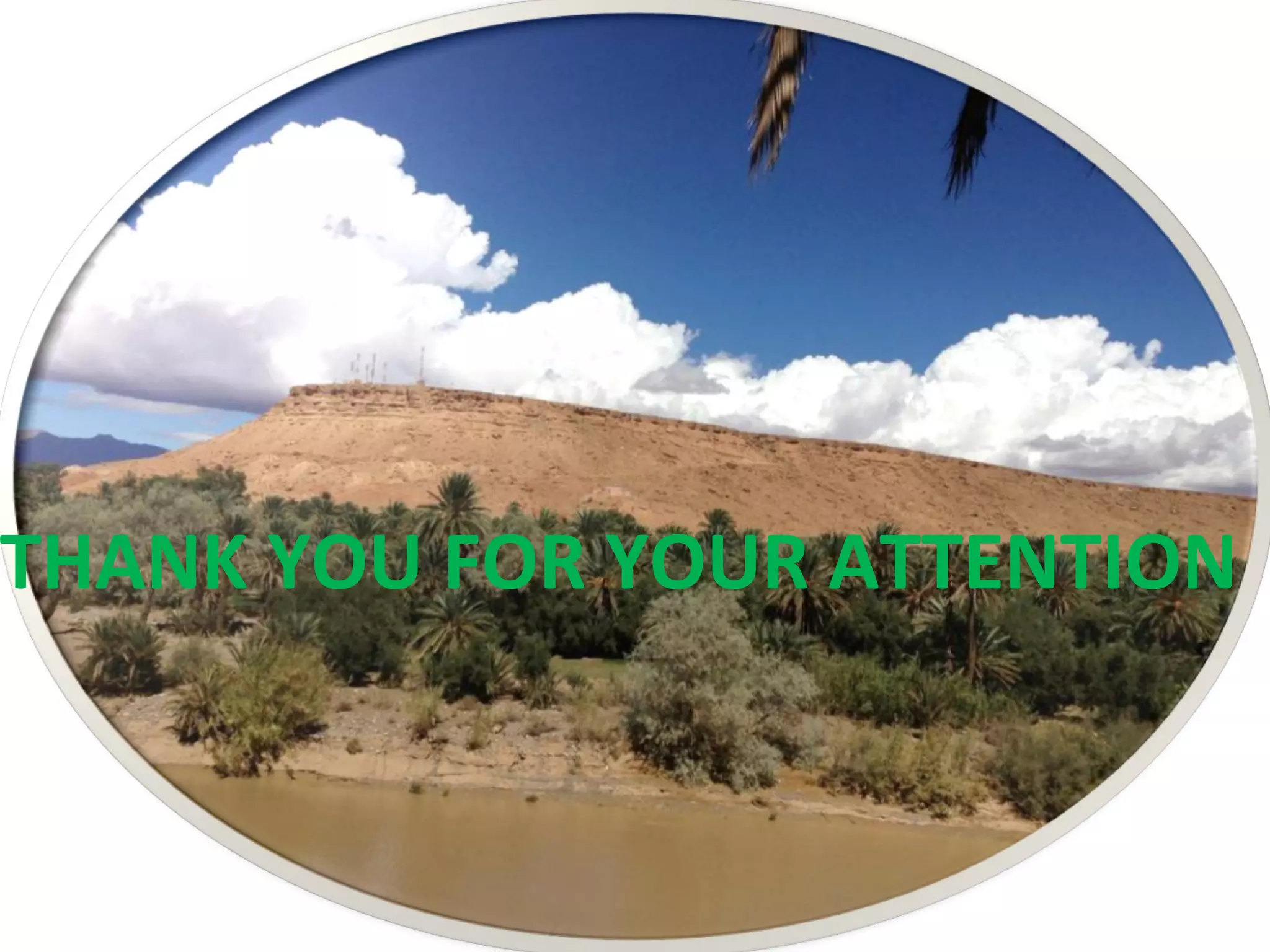 THANK YOU FOR YOUR ATTENTION
 