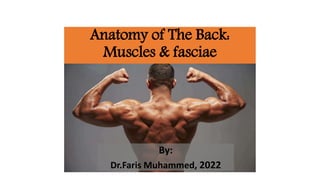 Anatomy of The Back:
Muscles & fasciae
By:
Dr.Faris Muhammed, 2022
 
