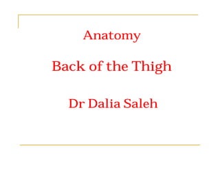 Anatomy

Back of the Thigh

  Dr Dalia Saleh
 