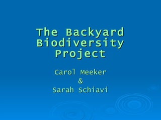 The Backyard Biodiversity Project Carol Meeker & Sarah Schiavi 