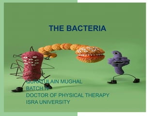 THE BACTERIA
QURATULAIN MUGHAL
BATCH IV
DOCTOR OF PHYSICAL THERAPY
ISRA UNIVERSITY
 