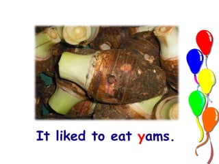 It liked to eat yams. 
 