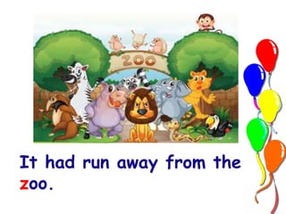 It had run away from the 
zoo. 
 