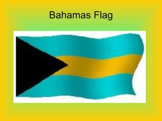 Bahamas Flag 
