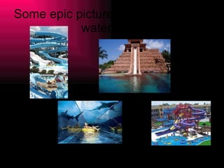 Some epic pictures of the Bahamas water park. 