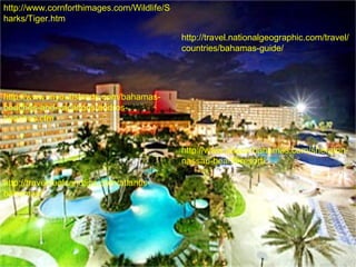 http://www.cornforthimages.com/Wildlife/S
harks/Tiger.htm

                                            http://travel.nationalgeographic.com/travel/
                                            countries/bahamas-guide/




http://www.myoutislands.com/bahamas-
beaches-and-vacations/andros-
beaches.cfm


                                            http://www.abaco-bahamas.com/sheraton-
                                            nassau-beach-resort/

http://traveldealsandtips.com/atlantis-
bahamas/
 