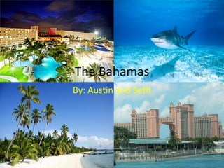 The Bahamas
By: Austin and Seth
 