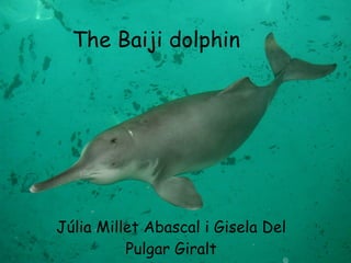 The Baiji dolphin Júlia Millet Abascal i Gisela Del Pulgar Giralt 