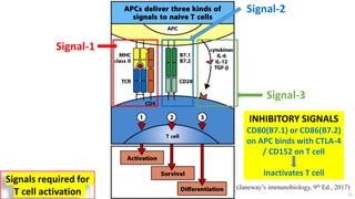 Signal-1
Signal-2
Signal-3
INHIBITORY SIGNALS
CD80(B7.1) or CD86(B7.2)
on APC binds with CTLA-4
/ CD152 on T cell
Inactivates T cell
Signals required for
T cell activation
(Janeway’s immunobiology, 9th Ed., 2017)
11
 