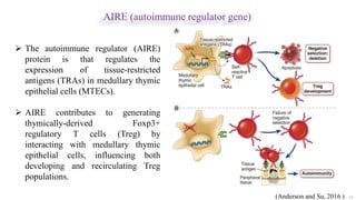 AIRE (autoimmune regulator gene)
14
 The autoimmune regulator (AIRE)
protein is that regulates the
expression of tissue-restricted
antigens (TRAs) in medullary thymic
epithelial cells (MTECs).
 AIRE contributes to generating
thymically-derived Foxp3+
regulatory T cells (Treg) by
interacting with medullary thymic
epithelial cells, influencing both
developing and recirculating Treg
populations.
(Anderson and Su, 2016 )
 
