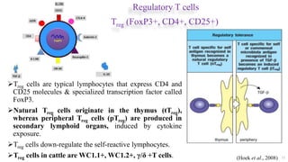 Regulatory T cells
Treg (FoxP3+, CD4+, CD25+)
Treg cells are typical lymphocytes that express CD4 and
CD25 molecules & specialized transcription factor called
FoxP3.
Natural Treg cells originate in the thymus (tTreg),
whereas peripheral Treg cells (pTreg) are produced in
secondary lymphoid organs, induced by cytokine
exposure.
Treg cells down-regulate the self-reactive lymphocytes.
Treg cells in cattle are WC1.1+, WC1.2+, γ/δ +T cells. 15
IL-2R
(Hoek et al., 2008)
 