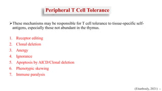 Peripheral T Cell Tolerance
These mechanisms may be responsible for T cell tolerance to tissue-specific self-
antigens, especially those not abundant in the thymus.
1. Receptor editing
2. Clonal deletion
3. Anergy
4. Ignorance
5. Apoptosis by AICD/Clonal deletion
6. Phenotypic skewing
7. Immune paralysis
16
(Eitanbouly, 2021)
 