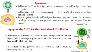 18
Ignorance
 Self-reactive T cells might never encounter the self-antigen that they
recognize.
 Self-antigen with low immunogenicity (low levels of expression or low
binding affinity)
 T-cells ignore certain self-antigens because they are located in immune-
privileged sites e.g. corneal proteins, testicular antigens, and antigens from the
brain.
Apoptosis by AICD (Activation-induced Cell Death)
 Activation of autoreactive T cells induces upregulation of the Fas
ligand which subsequently interacts with the death receptor Fas
leading (Fas L)to apoptosis.
 IL-2 affects the Fas pathway, and can eventually lead to AICD by
increasing FasL expression.
(Van Parijs et al., 1996)
 