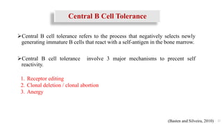 Central B Cell Tolerance
Central B cell tolerance refers to the process that negatively selects newly
generating immature B cells that react with a self-antigen in the bone marrow.
Central B cell tolerance involve 3 major mechanisms to precent self
reactivity.
22
1. Receptor editing
2. Clonal deletion / clonal abortion
3. Anergy
(Basten and Silveira, 2010)
 