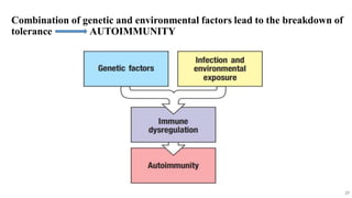 Combination of genetic and environmental factors lead to the breakdown of
tolerance AUTOIMMUNITY
27
 