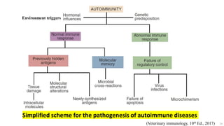 29
Simplified scheme for the pathogenesis of autoimmune diseases
(Veterinary immunology, 10th Ed., 2017)
Environment triggers
 