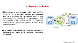 4. BystanderActivation
Phenomenon where immune cells, such as CD4
and CD8 T cells, are stimulated by inflammatory
signals in response to a pathogen, even if they
were not specific to that particular pathogen. Leads
to cytokine influx which causes an increased
infiltration of various non-specific T cells at the
site of infection.
Coxsackie virus–induced diabetes mellitus is
mediated in large part through bystander
activation.
36
(Pacheco et al., 2019)
 
