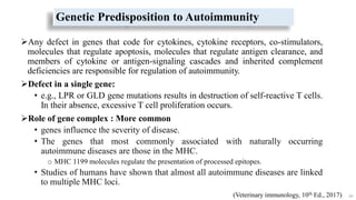 Genetic Predisposition to Autoimmunity
Any defect in genes that code for cytokines, cytokine receptors, co-stimulators,
molecules that regulate apoptosis, molecules that regulate antigen clearance, and
members of cytokine or antigen-signaling cascades and inherited complement
deficiencies are responsible for regulation of autoimmunity.
Defect in a single gene:
• e.g., LPR or GLD gene mutations results in destruction of self-reactive T cells.
In their absence, excessive T cell proliferation occurs.
Role of gene complex : More common
• genes influence the severity of disease.
• The genes that most commonly associated with naturally occurring
autoimmune diseases are those in the MHC.
o MHC 1199 molecules regulate the presentation of processed epitopes.
• Studies of humans have shown that almost all autoimmune diseases are linked
to multiple MHC loci.
40
(Veterinary immunology, 10th Ed., 2017)
 