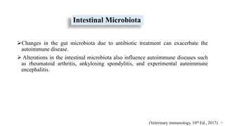 Intestinal Microbiota
Changes in the gut microbiota due to antibiotic treatment can exacerbate the
autoimmune disease.
 Alterations in the intestinal microbiota also influence autoimmune diseases such
as rheumatoid arthritis, ankylosing spondylitis, and experimental autoimmune
encephalitis.
45
(Veterinary immunology, 10th Ed., 2017)
 