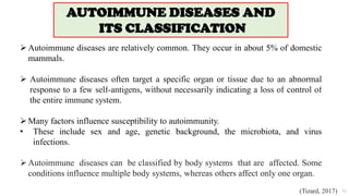 51
Autoimmune diseases are relatively common. They occur in about 5% of domestic
mammals.
 Autoimmune diseases often target a specific organ or tissue due to an abnormal
response to a few self-antigens, without necessarily indicating a loss of control of
the entire immune system.
Many factors influence susceptibility to autoimmunity.
• These include sex and age, genetic background, the microbiota, and virus
infections.
Autoimmune diseases can be classified by body systems that are affected. Some
conditions influence multiple body systems, whereas others affect only one organ.
(Tizard, 2017)
AUTOIMMUNE DISEASES AND
ITS CLASSIFICATION
 