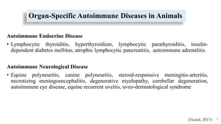 Organ-Specific Autoimmune Diseases in Animals
Autoimmune Endocrine Disease
• Lymphocytic thyroiditis, hyperthyroidism, lymphocytic parathyroiditis, insulin-
dependent diabetes mellitus, atrophic lymphocytic pancreatitis, autoimmune adrenalitis.
Autoimmune Neurological Disease
• Equine polyneuritis, canine polyneuritis, steroid-responsive meningitis-arteritis,
necrotizing meningoencephalitis, degenerative myelopathy, cerebellar degeneration,
autoimmune eye disease, equine recurrent uveitis, uveo-dermatological syndrome
52
(Tizard, 2017)
 