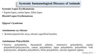 Systemic Immunological Diseases of Animals
Systemic Lupus Erythematosus
• Equine lupus, canine lupus, feline lupus
Discoid Lupus Erythematosus
Sjögren’s Syndrome
Autoimmune eye disease
• Keratoconjunctivitis sicca, chronic superficial keratitis
Autoimmune Polyarthritis
• Erosive polyarthritis, rheumatoid arthritis, nonerosive polyarthritis, equine
polyarthritis/polysynovitis, canine polyarthritis, lupus polyarthritis, polyarthritis with
polymyositis, idiopathic polyarthritis, feline polyarthritis, cruciate ligament rupture
54
(Tizard, 2017)
 