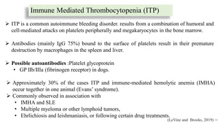 Immune Mediated Thrombocytopenia (ITP)
58
 Approximately 30% of the cases ITP and immune-mediated hemolytic anemia (IMHA)
occur together in one animal (Evans’ syndrome).
 Commonly observed in association with
• IMHA and SLE
• Multiple myeloma or other lymphoid tumors,
• Ehrlichiosis and leishmaniasis, or following certain drug treatments.
 ITP is a common autoimmune bleeding disorder. results from a combination of humoral and
cell‐mediated attacks on platelets peripherally and megakaryocytes in the bone marrow.
 Antibodies (mainly IgG 75%) bound to the surface of platelets result in their premature
destruction by macrophages in the spleen and liver.
 Possible autoantibodies :Platelet glycoprotein
• GP IIb/IIIa (fibrinogen receptor) in dogs.
(LeVine and Brooks, 2019)
 