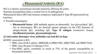 Rheumatoid Arthritis (RA)
59
•RA is a chronic autoimmune disorder primarily affecting the joints.
•Immune dysregulation plays a central role in its pathogenesis.
•Rheumatoid factor (RF) and immune complexes implicated in Type III hypersensitivity
reactions.
 Possible autoantigens:
• Rheumatoid factor: IgM antibody against an abnormally less glycosylated IgG.
Act as immunogen, RFs are directed against epitopes on the CH2 domains of
antigen-bound IgG, including IgE, Type II collagen (connective tissue),
citrullinated proteins, glycosaminoglycans.
 Anti-canine distemper virus antibodies can lead RA in dogs.
 MHC association to RA:
• MHC class II DLA alleles -DRB1(DLA-DRB1*002, DRB1*009, and DRB1*018)
• MHC class III gene C4 allotype C4-4.
• Non-MHC genes; contribute as much as 75% of the genetic susceptibility to
rheumatoid arthritis. (Gershwin, 2010; Tizard, 2017)
 