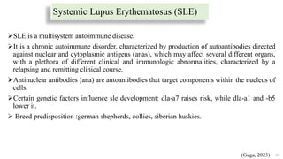 Systemic Lupus Erythematosus (SLE)
SLE is a multisystem autoimmune disease.
It is a chronic autoimmune disorder, characterized by production of autoantibodies directed
against nuclear and cytoplasmic antigens (anas), which may affect several different organs,
with a plethora of different clinical and immunologic abnormalities, characterized by a
relapsing and remitting clinical course.
Antinuclear antibodies (ana) are autoantibodies that target components within the nucleus of
cells.
Certain genetic factors influence sle development: dla-a7 raises risk, while dla-a1 and -b5
lower it.
 Breed predisposition :german shepherds, collies, siberian huskies.
61
(Guga, 2023)
 