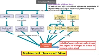 Individual’s own molecules, cells, tissues
and organs are damaged as a result of
immune system attack
Mechanism of tolerance and failure
Immunologically privileged sites:
The sites of body which are able to tolerate the introduction of
antigens without eliciting an inflammatory immune response.
7
 