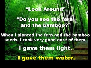 I gave them water.I gave them water.
““Look Around”Look Around”
““Do you see the fernDo you see the fern
and the bamboo?an...