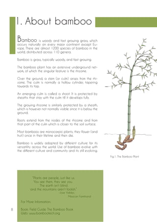 8 
1. About bamboo 
Bamboo is woody and fast growing grass, which 
occurs naturally on every major continent except Eu-rope. 
There are almost 1200 species of bamboo in the 
world, distributed across 110 genera. 
Bamboo is grass, typically woody, and fast growing. 
The bamboo plant has an extensive underground net-work, 
of which the singular feature is the rhizome. 
Over the ground, a stem (or culm) arises from the rhi-zome. 
The culm is normally a hollow cylinder, tapering 
towards its top. 
An emerging culm is called a shoot. It is protected by 
sheaths that stay with the culm till it develops fully. 
The growing rhizome is similarly protected by a sheath, 
which is however not normally visible since it is below the 
ground. 
Roots extend from the nodes of the rhizome and from 
that part of the culm which is closer to the soil surface. 
Most bamboos are monocarpic plants; they flower (and 
fruit) once in their lifetime and then die. 
Bamboo is widely adopted by different culture for its 
versatility across the world. Use of bamboo evolve with 
the different culture and community and its still evolving. 
Fig.1. The Bamboo Plant 
“Plants are people, just like us. 
You see them, they see you. 
The earth isn’t blind 
and the mountains aren’t foolish.” 
-Jose Valdez, 
Mexican Farmhand 
For More Information: 
Book: Field Guide The Bamboo Book 
Web: www.bambootech.org 
 