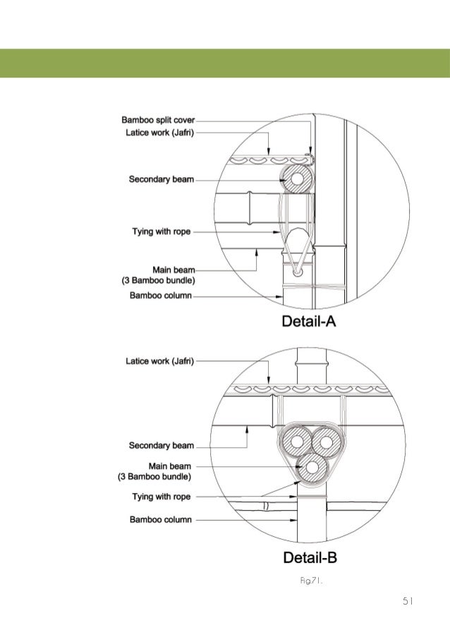 The bamboo book final 12 513