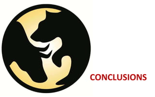 CONCLUSIONS
 