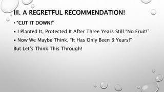 III. A REGRETFUL RECOMMENDATION!
• “CUT IT DOWN!”
▪ I Planted It, Protected It After Three Years Still “No Fruit!”
▪ Now We Maybe Think, “It Has Only Been 3 Years!”
But Let’s Think This Through!
 