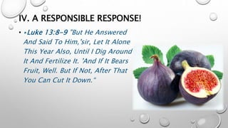 IV. A RESPONSIBLE RESPONSE!
• ▸Luke 13:8-9 "But He Answered
And Said To Him,'sir, Let It Alone
This Year Also, Until I Dig Around
It And Fertilize It. 'And If It Bears
Fruit, Well. But If Not, After That
You Can Cut It Down.“
 