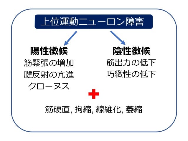 The Basic Assessment Of Hemiplegia