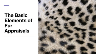 The Basic
Elements of
Fur
Appraisals
 