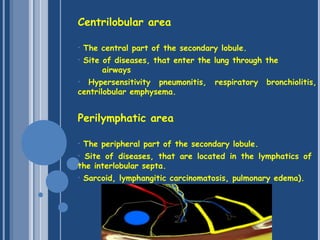 Centrilobular area
 
• The central part of the secondary lobule.
• Site of diseases, that enter the lung through the
airways
• Hypersensitivity pneumonitis, respiratory bronchiolitis,
centrilobular emphysema.
Perilymphatic area
• The peripheral part of the secondary lobule.
• Site of diseases, that are located in the lymphatics of
the interlobular septa.
• Sarcoid, lymphangitic carcinomatosis, pulmonary edema).
 